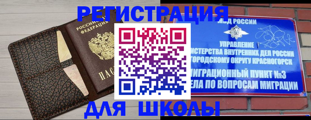 прописка в Вязьме